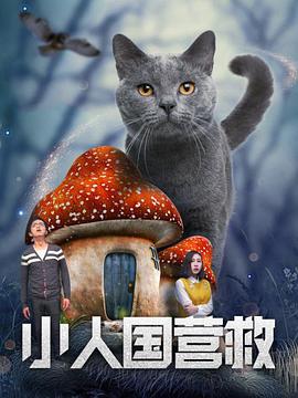 伊人碰碰