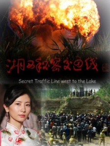 国产一二区在线观看
